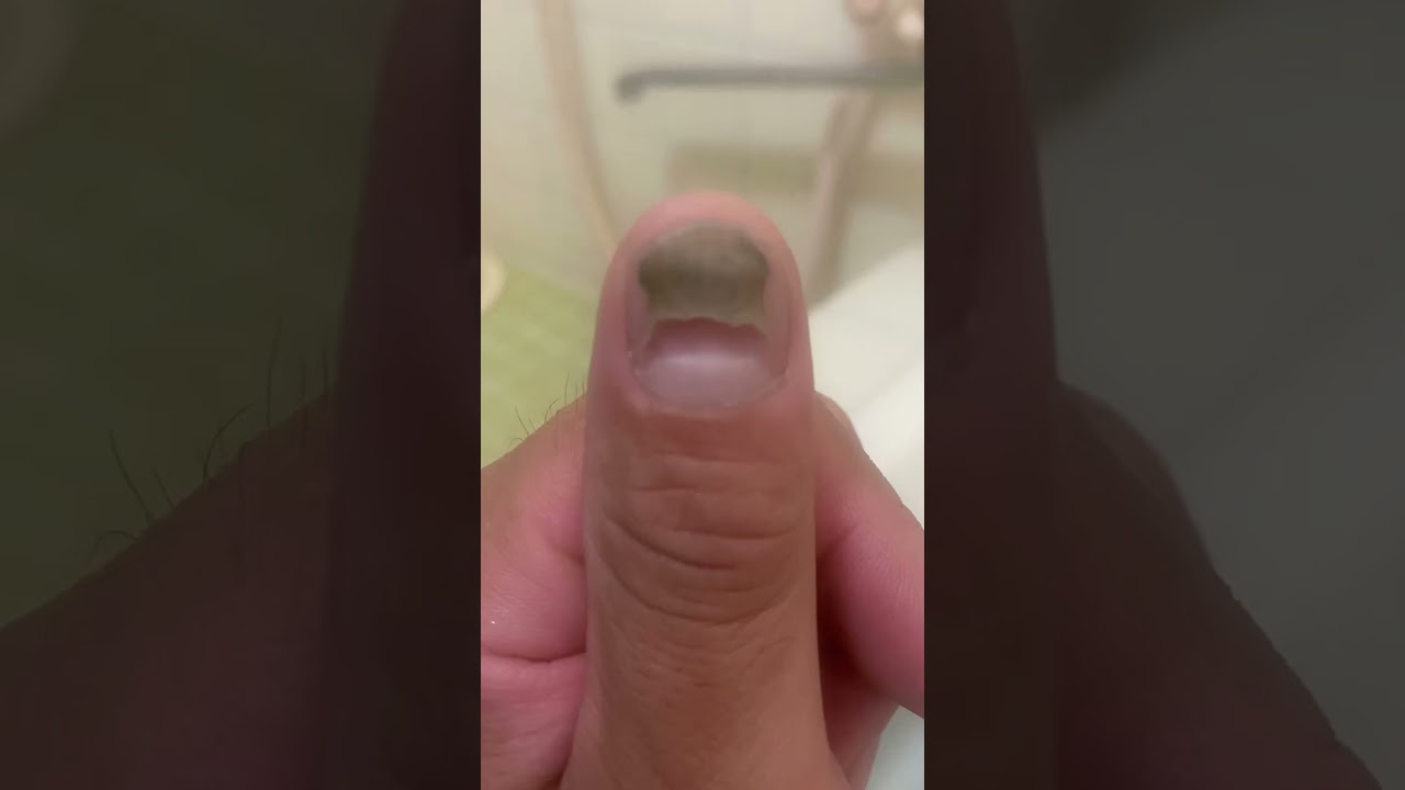 1761630441_maxresdefault-9444306-5837751-jpg