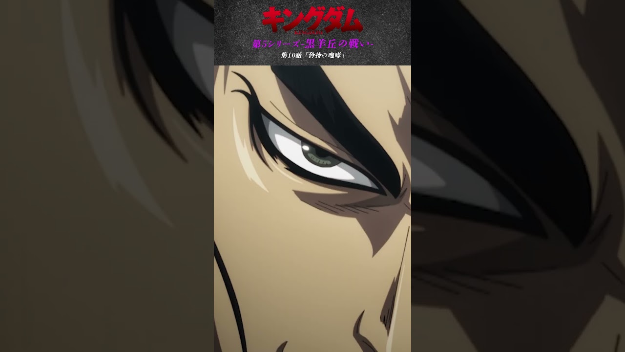 1767806856_maxresdefault-1610712-4836546-jpg