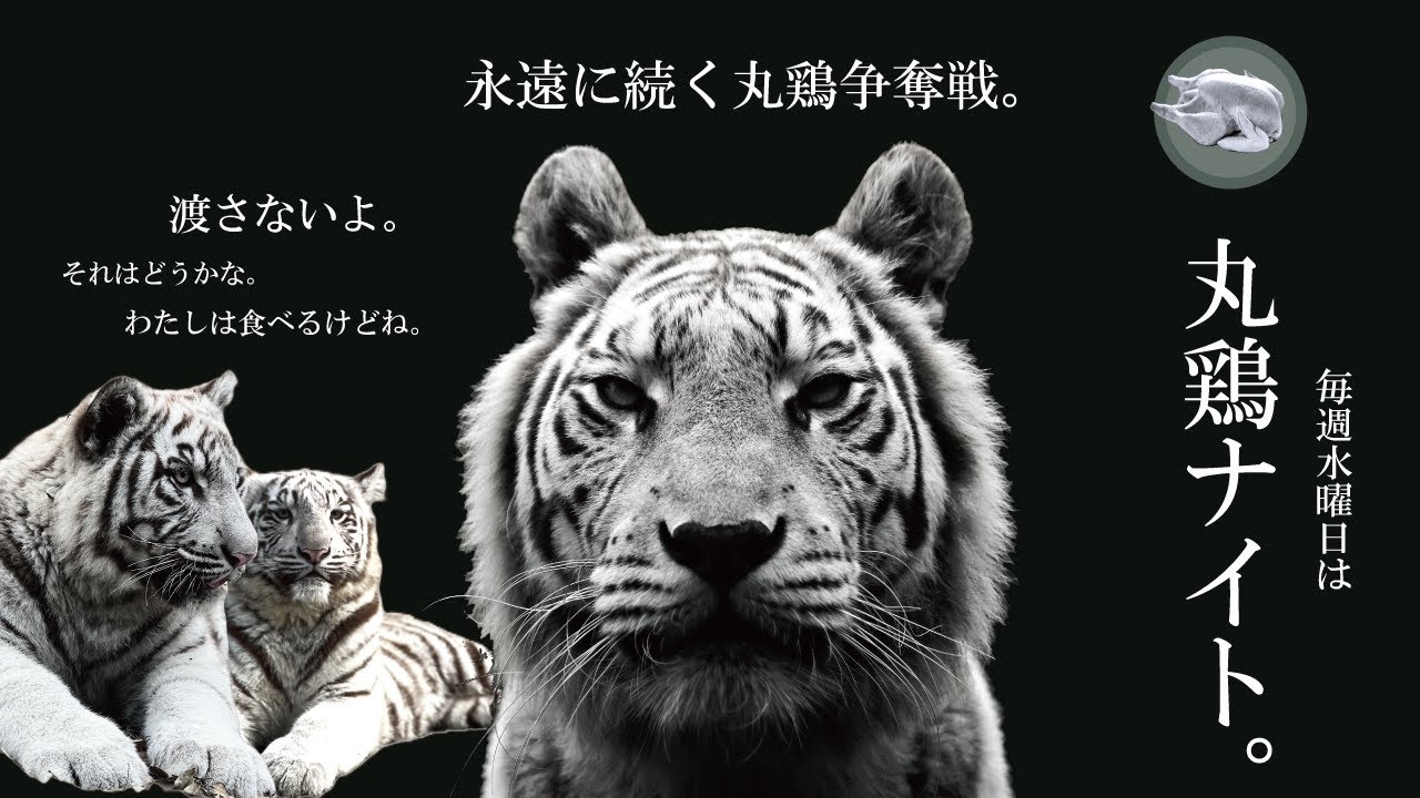 1769221082_maxresdefault-9524458-4875865-jpg