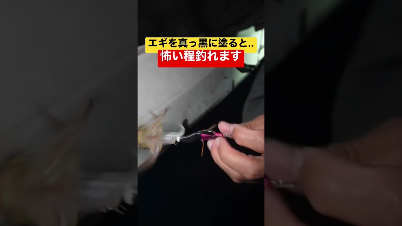 1772880823_maxresdefault-1055429-5617247-jpg